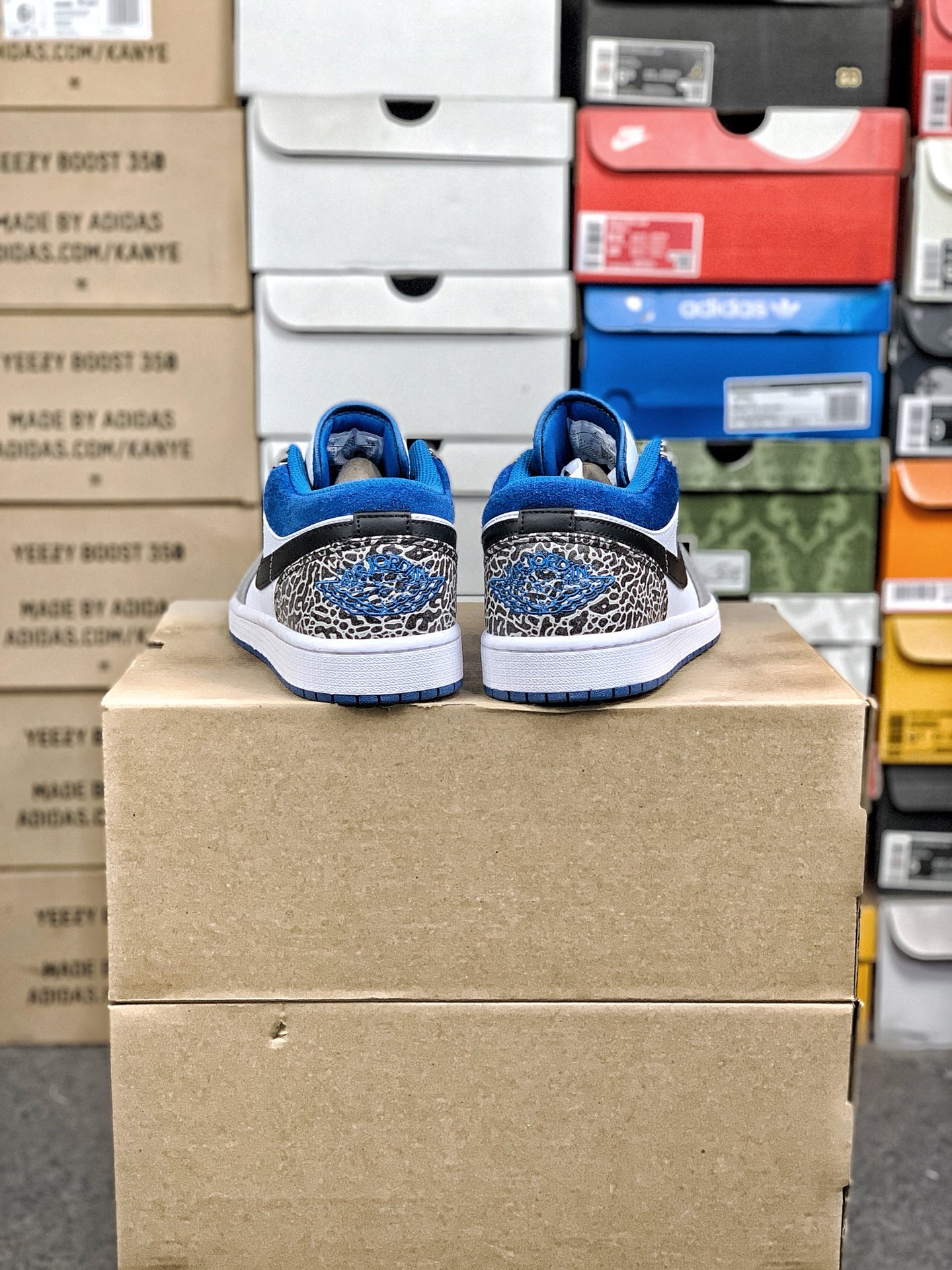 Nike Jordan shoe